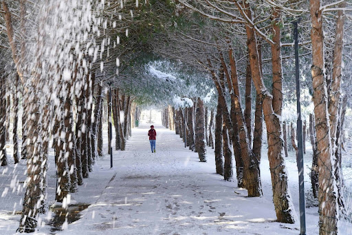 sensory friendly activities in ann arbor for adhd and autism